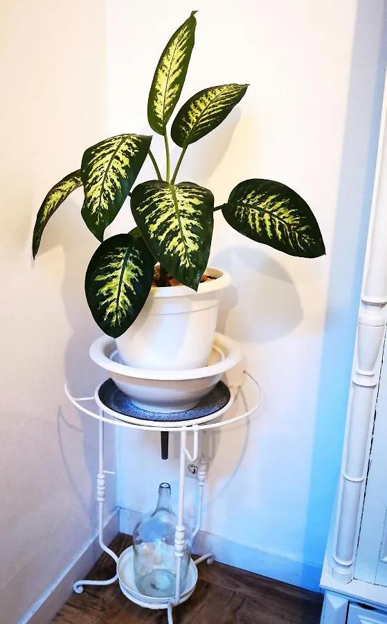 Apartamento Gaivota, Vida à Portuguesa Portimão Portugal